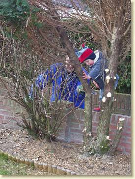 20060318-02 De boom moet omver 2